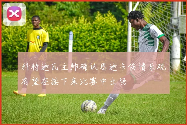 科特迪瓦主帅确认恩迪卡伤情乐观有望在接下来比赛中出场