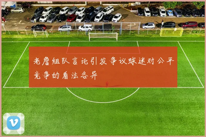 老詹组队言论引发争议球迷对公平竞争的看法各异